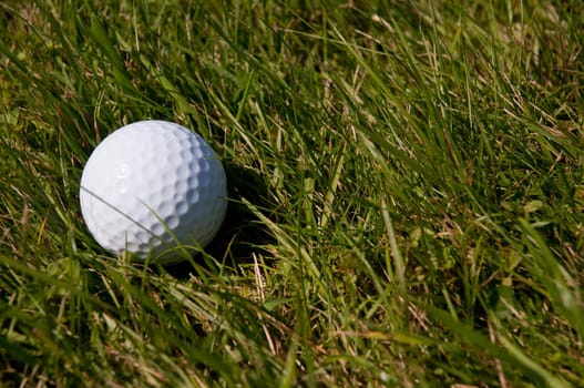 Detail of Golf Ball in the Rough