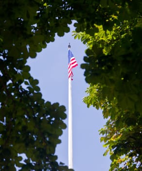 Stars and stripes US flag framed by green leaves and trees against blue sky