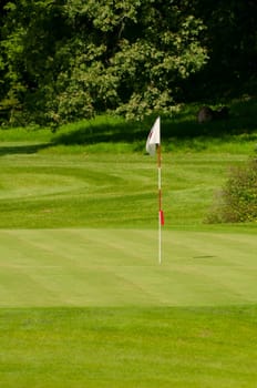 Golf Course in Forest - Golf Green With Flag