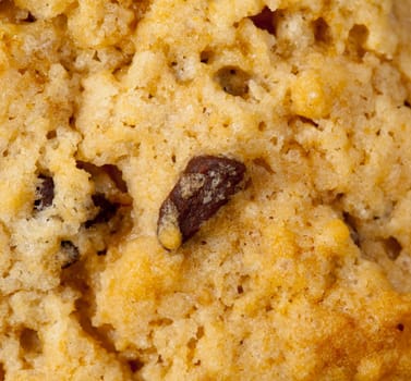 Close up of home made chocolate chip cookies just out of the oven