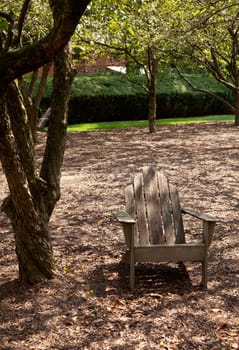 Single wooden adirondack chair in the shade of an old tree