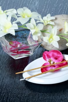 Wellness and spa concept