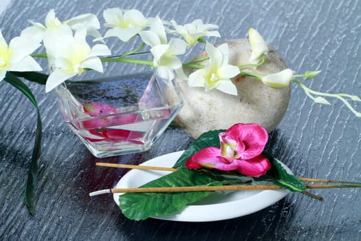 Wellness and spa concept