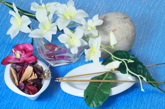 Wellness and spa concept
