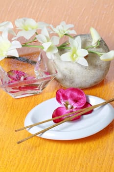 Wellness and spa concept
