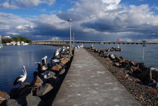 Forster,NSW,Australia