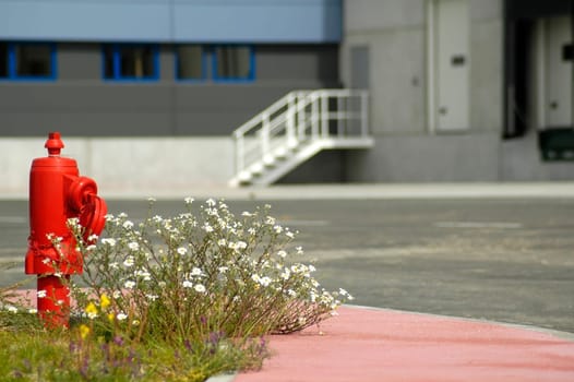 A fire hydrant close to a office or industrial building to represent safety and protection in the workplace