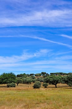 Rural landscape in Alentejo, Portugal