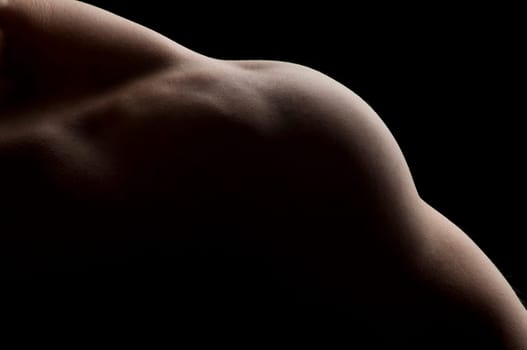 Detail of part of a male torso, featuring trapezius, deltoid and triceps muscles