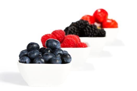Blueberries in a bowl in front of other berries on white background