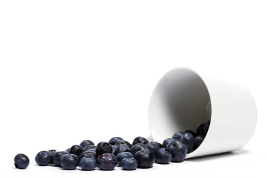 Blueberries rolling from overturned cup on white background