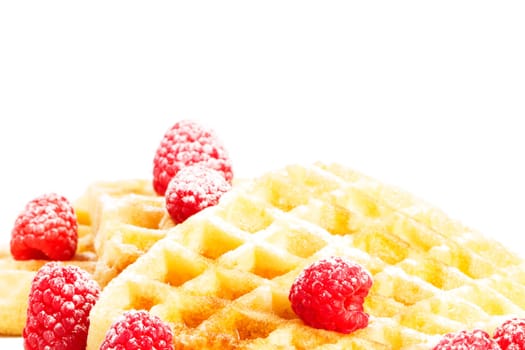Sugared raspberries on waffles with syrup on white background