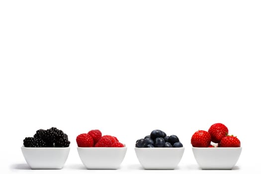 Wild berries in a row of bowls on white background