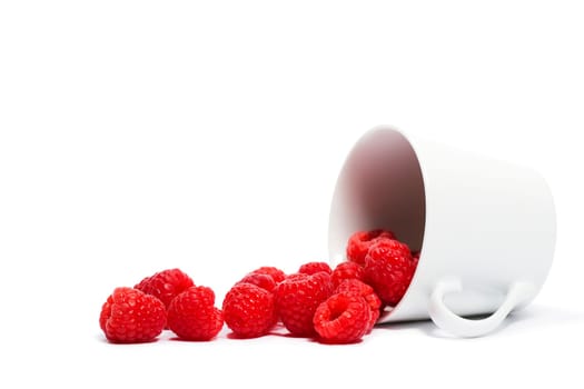 Raspberries rolling from overturned cup on white background