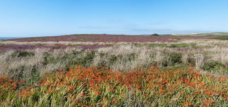 Overview of the landscape at Lands End in Cornwall