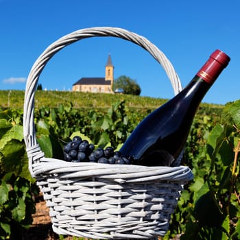 bottle of wine and grappes in basket and church