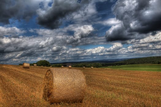 Harvested
