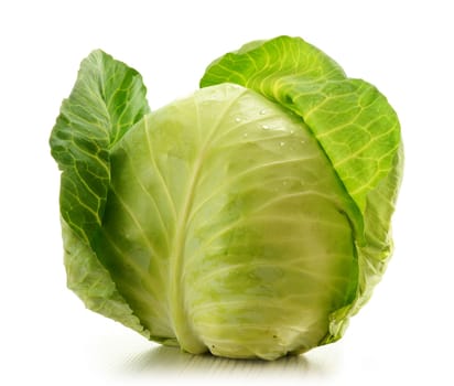 Cabbage isolated on white