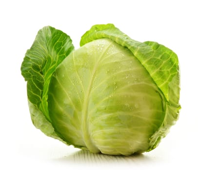 Cabbage isolated on white