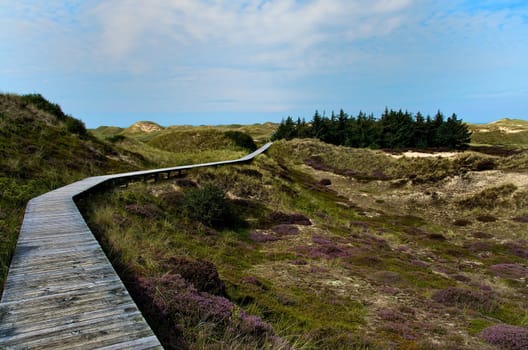 dunes and sky on the island of Amrum, Germany