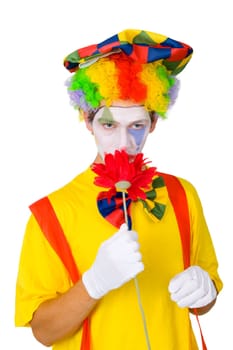 Colorful clown isolated on white background