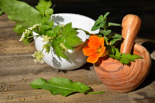 Herb Mortar Fresh Leaves