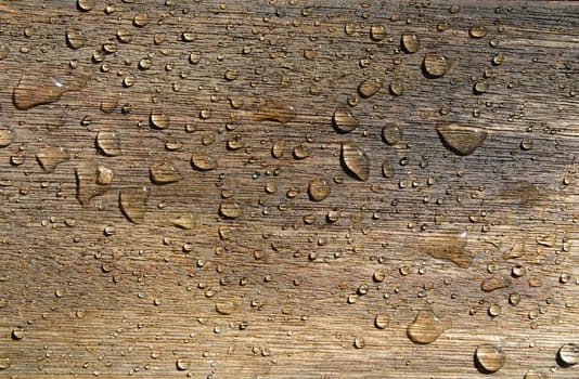 Water Drop on Wooden Board