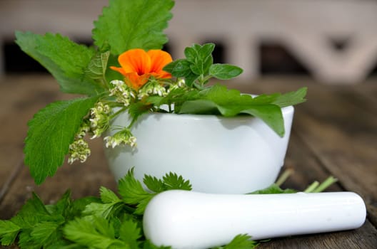 Herb Mortar Fresh Leaves