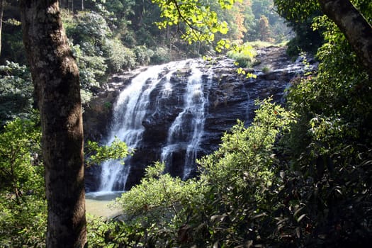 Water Falls viewed amidst thick and lush green vegetation