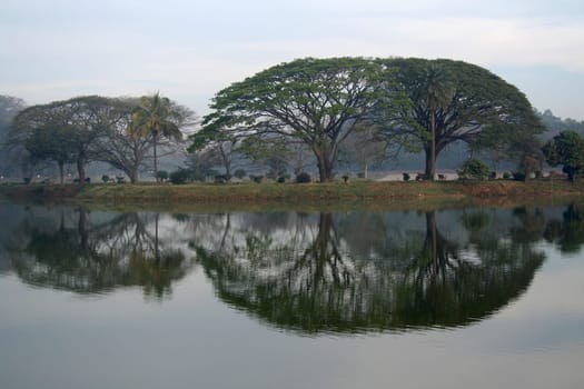 Mirror image of trees in calm water of a lake