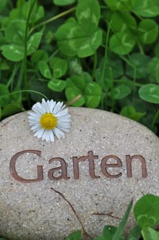 garden lawn flowers