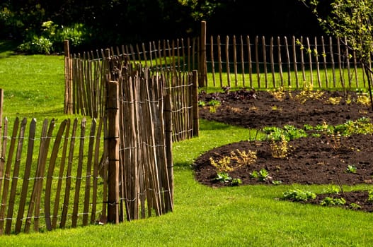A fence in a garden in spring