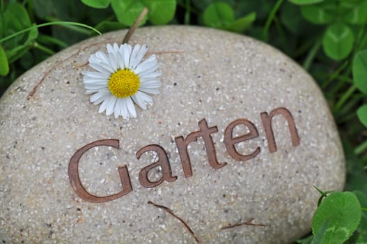 garden lawn flowers