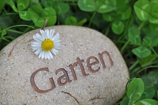 garden lawn flowers