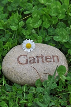 garden lawn flowers