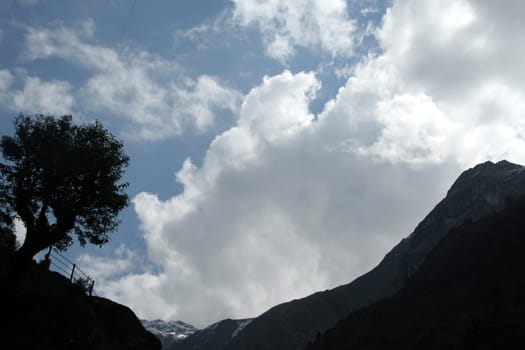 Tree and mountain silhouetted against bright clouds