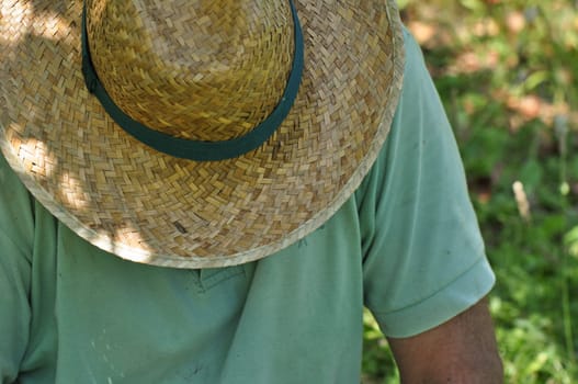 Senior in the garden