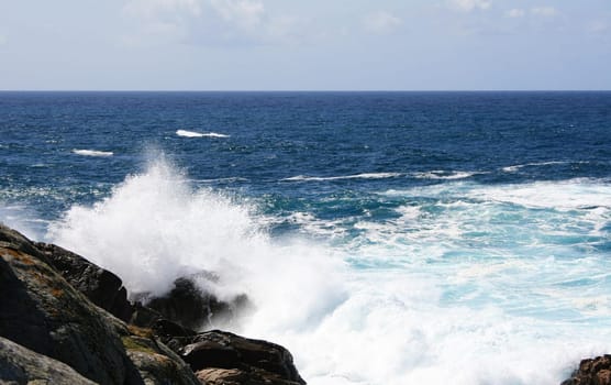 Surf