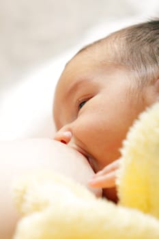 Newborn baby breast feeding breast
