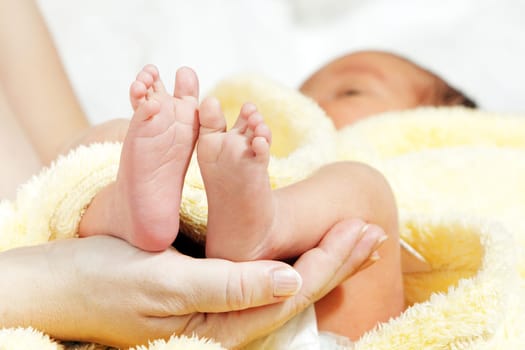 Newborn baby feet in mother&#039 s hands with soft yellow blanket