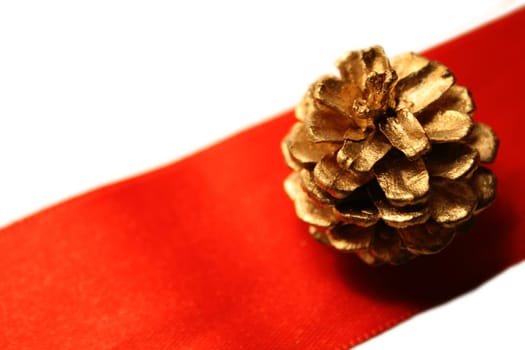 Fir cone