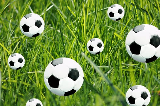 Footballs in the grass