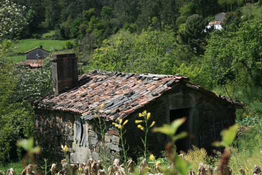 Galicia at the way of St. James,famous european Pilgrims Way