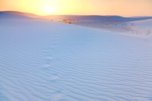 Footprints in the sand dunes at sunset