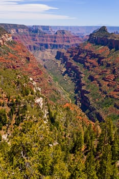 View along a side canyon in Grand Canyon National Park