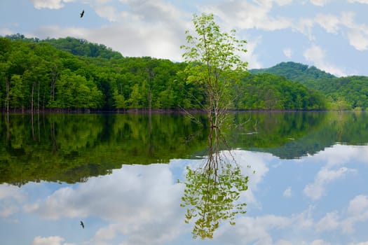 Scenic view of Cave Run Lake in Central Kentucky