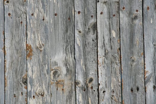 Wood