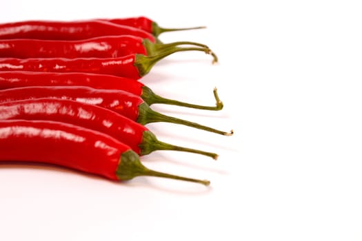 Chili peppers on white background