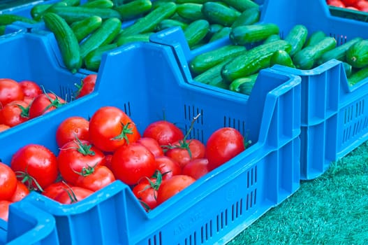 Tomatoes and cucumbers