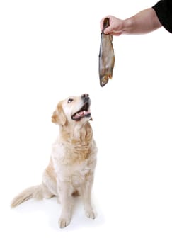 Reward
